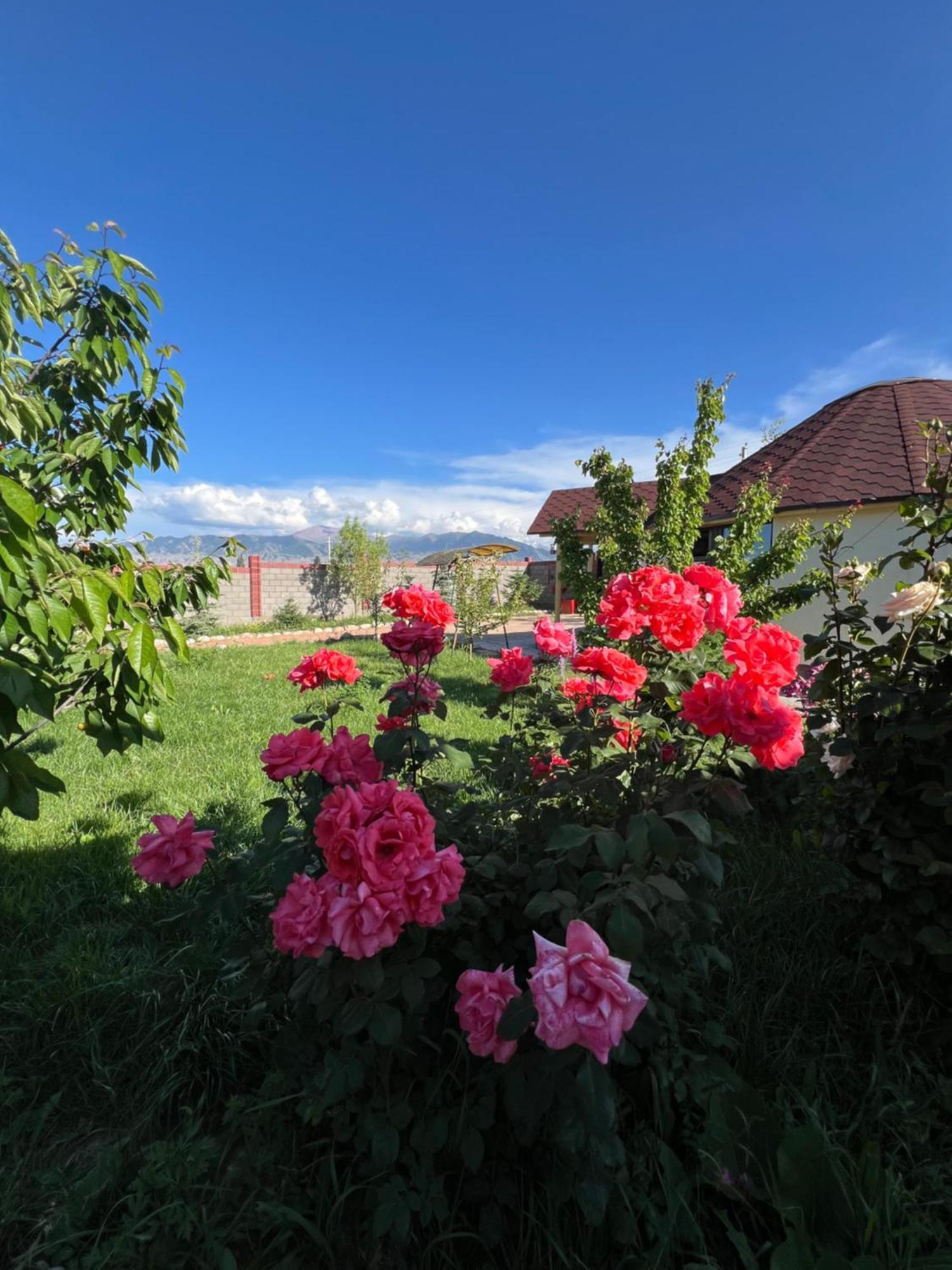 Svetlana Guest House Bokonbayevo Esterno foto